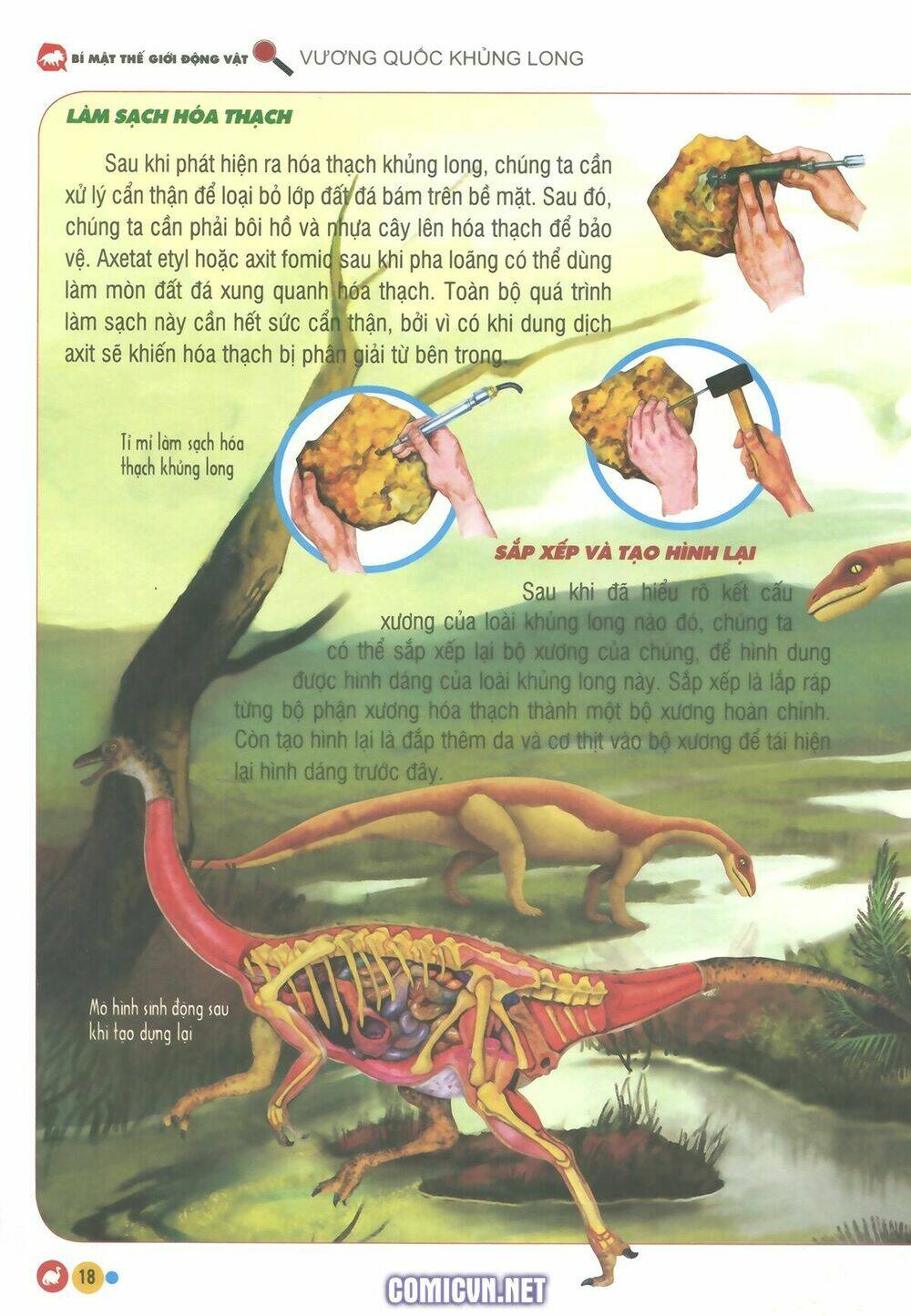 vương quốc khủng long chapter 1 14