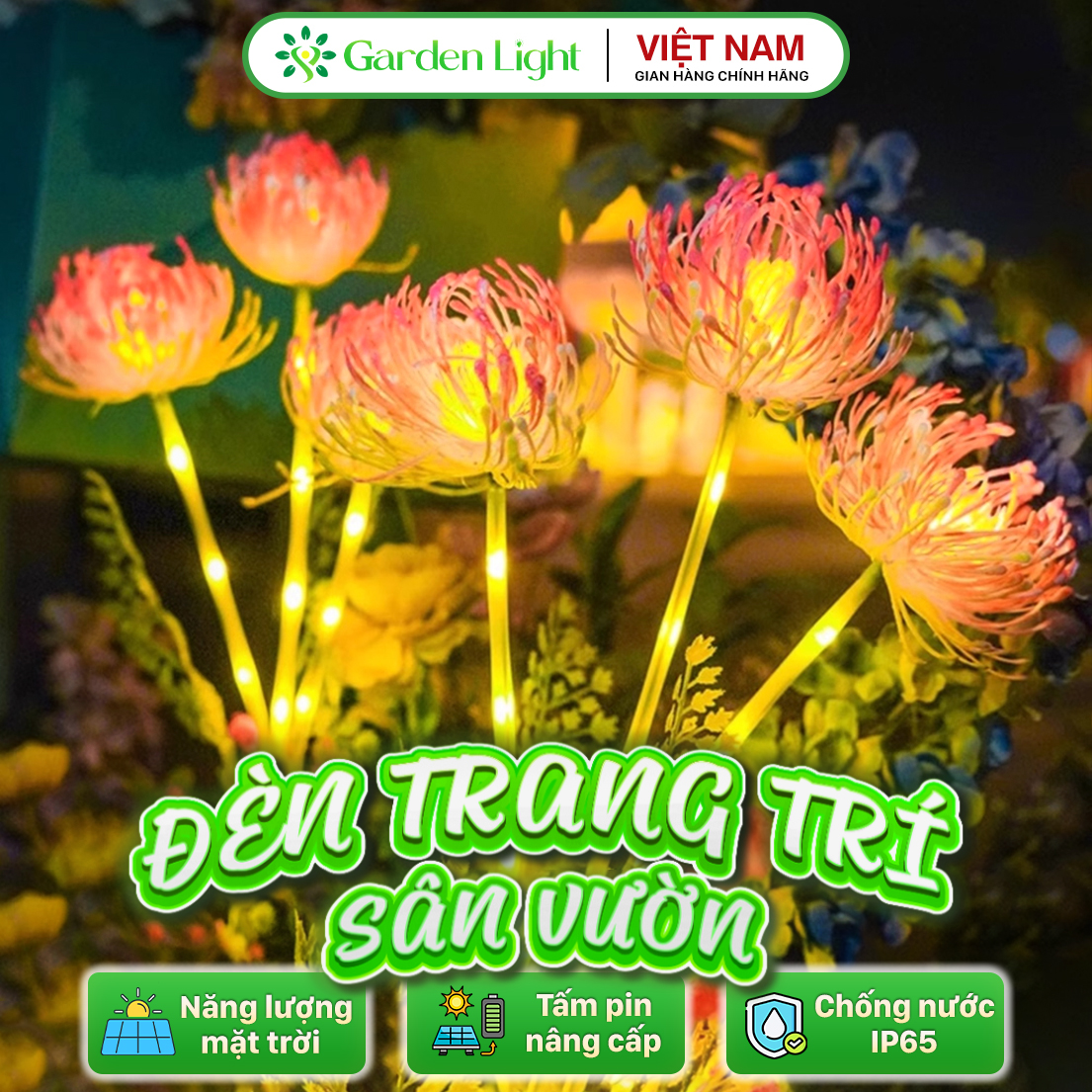 Đèn Trang Trí Năng Lượng Mặt Trời Hình Hoa Bỉ Ngạn, Sử Dụng Liên Tục 8-12 tiếng - DA3022