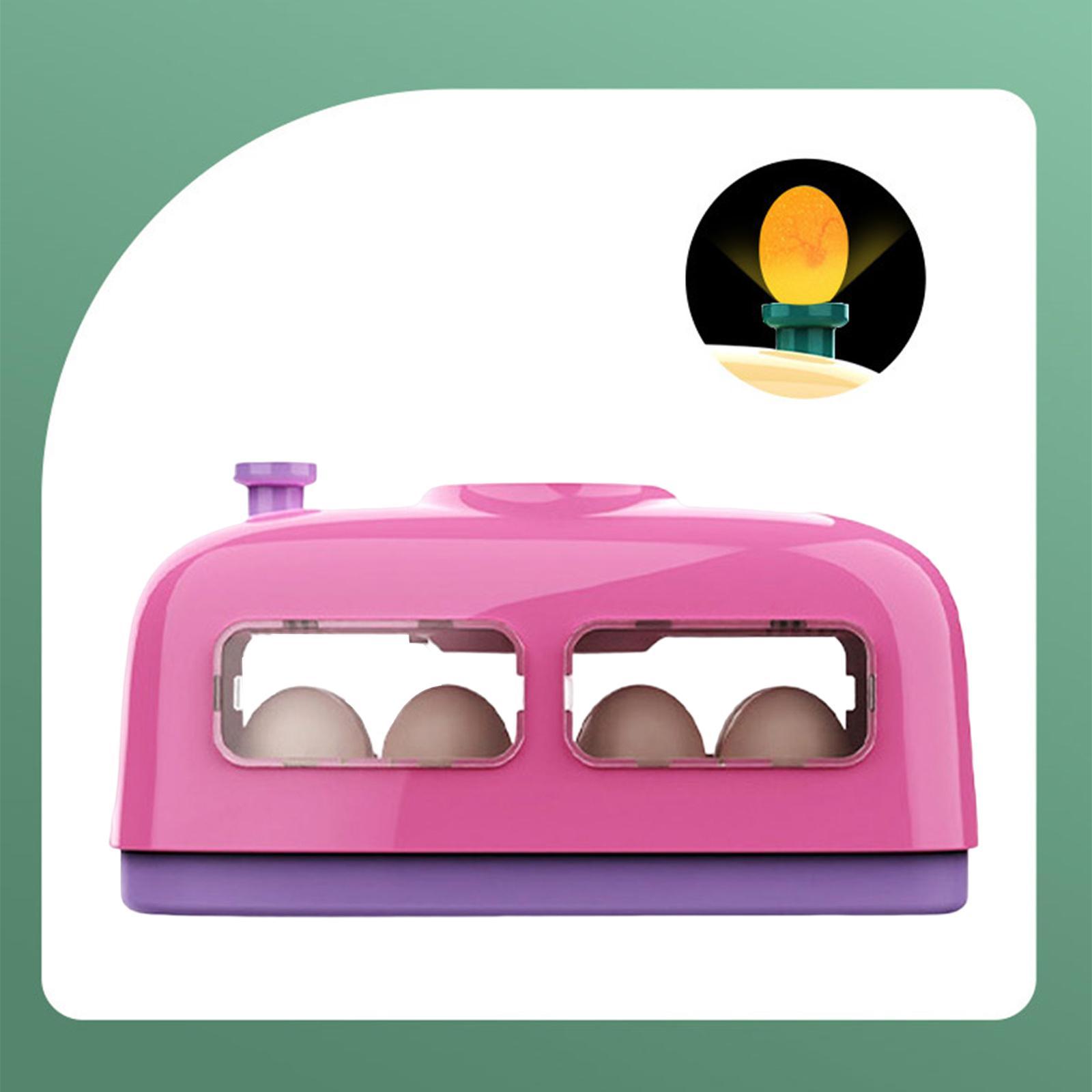Small Egg Incubator  Digital Manual Egg Turning for   Birds