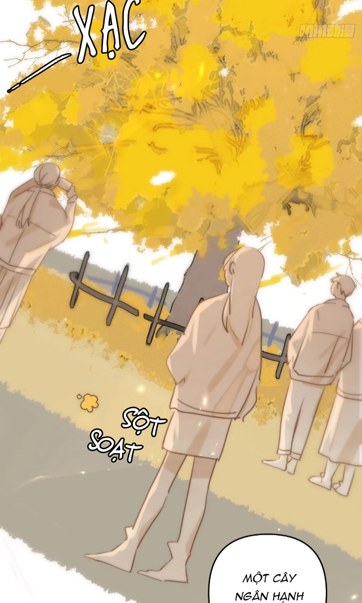 đêm đầy sao nói với em chapter 22 49