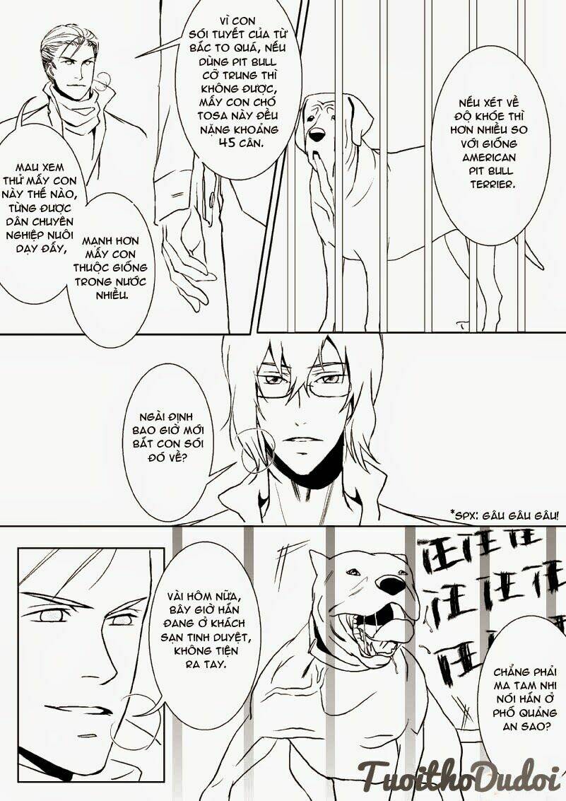 sự mê hoặc của sói chapter 15 3