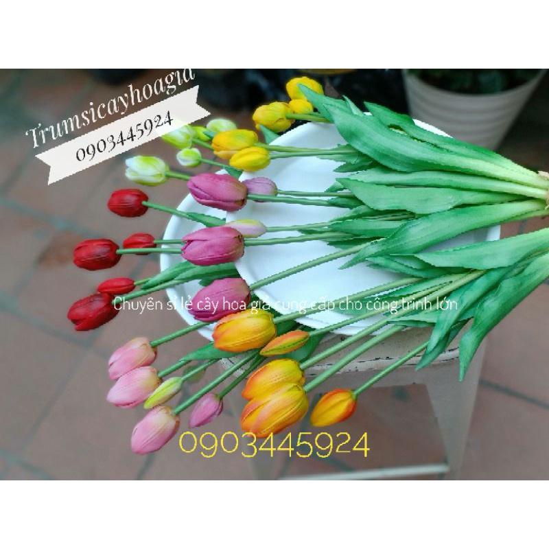 Combo Bó tuylip 5 bông casu mini cao cấp - Hoa giả