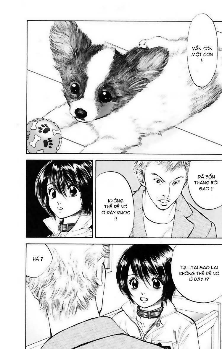 cô nàng yêu chó chapter 11 16