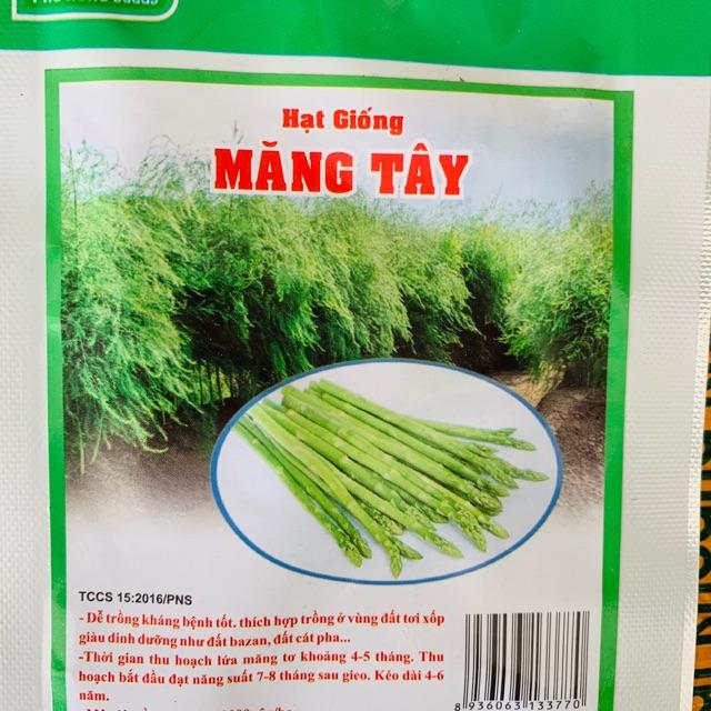 Hạt giống măng tây