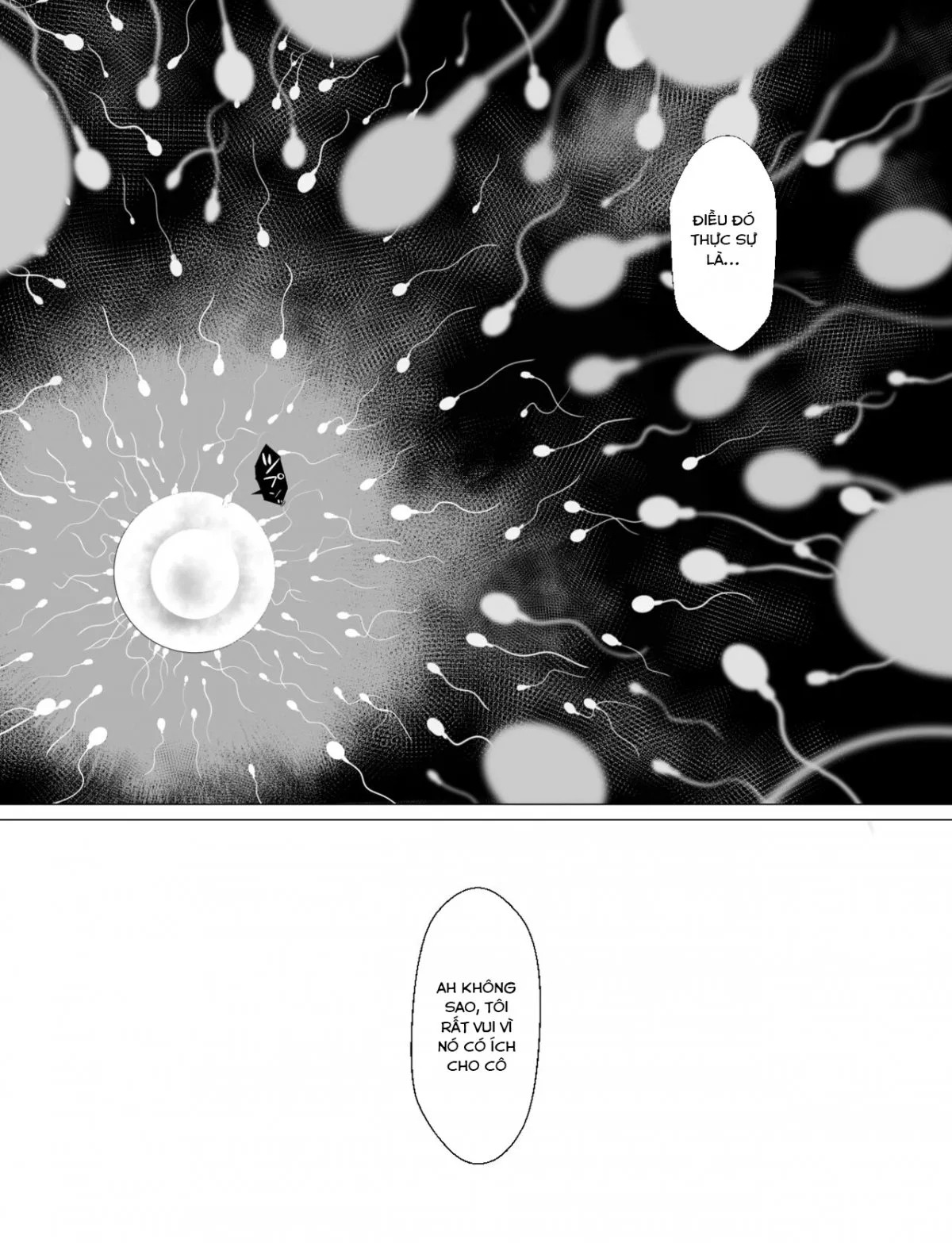 nhà lữ hành dirk và chiếc lư hương ma thuật chapter 0 40