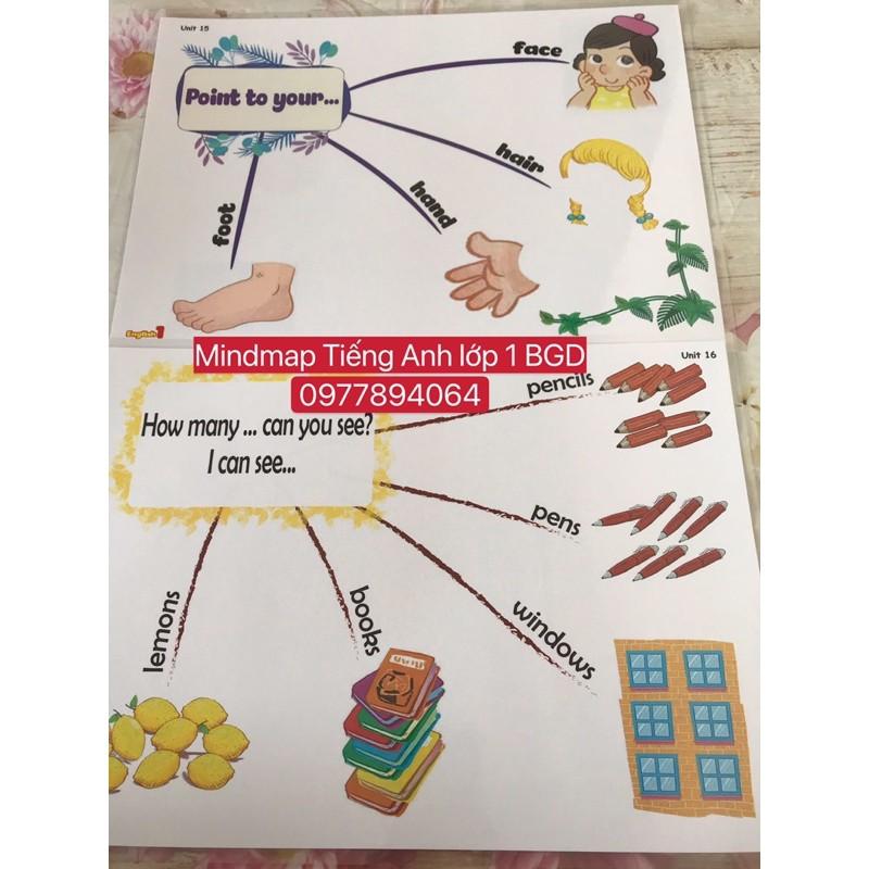 Mindmap luyện thuyết trình Tiếng Anh lớp 1 BGD- Size A3️ép plastics