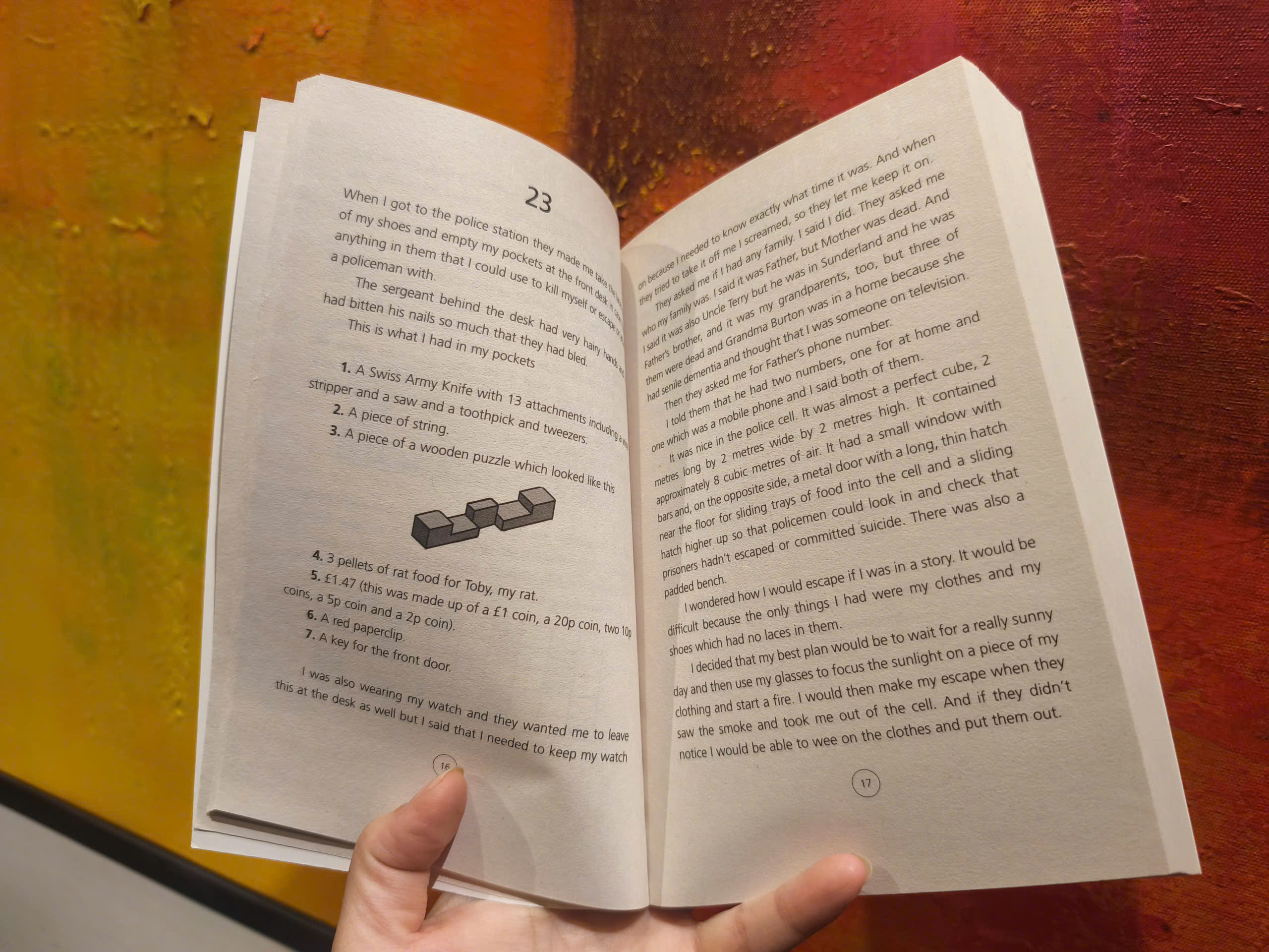 Sách - The Curious Incident of the Dog In the Night-time by Mark Haddon
