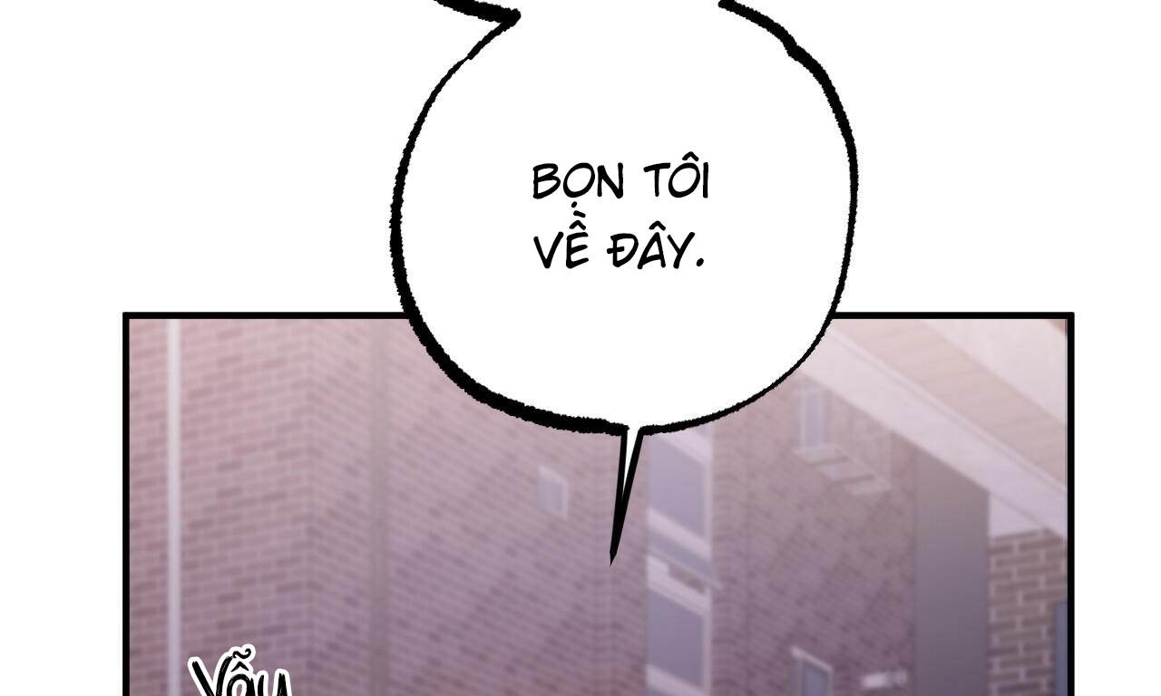 những chú thỏ của hapypy chapter 51 267