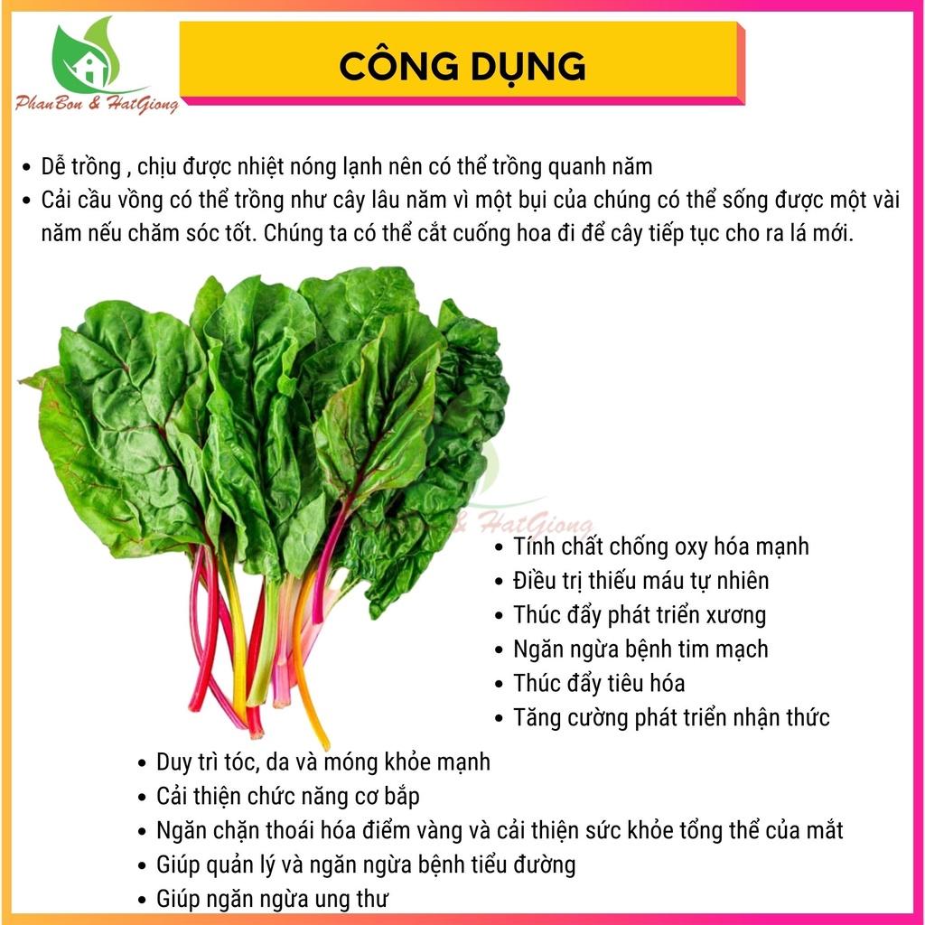 Hạt Giống Rau Cải Cầu Vòng Dễ Trồng, Giàu Dinh Dưỡng 10gr - Rạng Đông - Shop Phân Bón và Hạt Giống