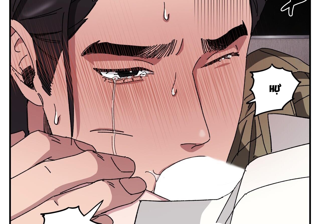 chàng dâu nhà họ kang chapter 34 82