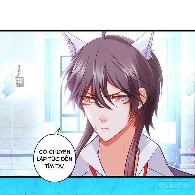 hồ tiên hung bạo chapter 96 6