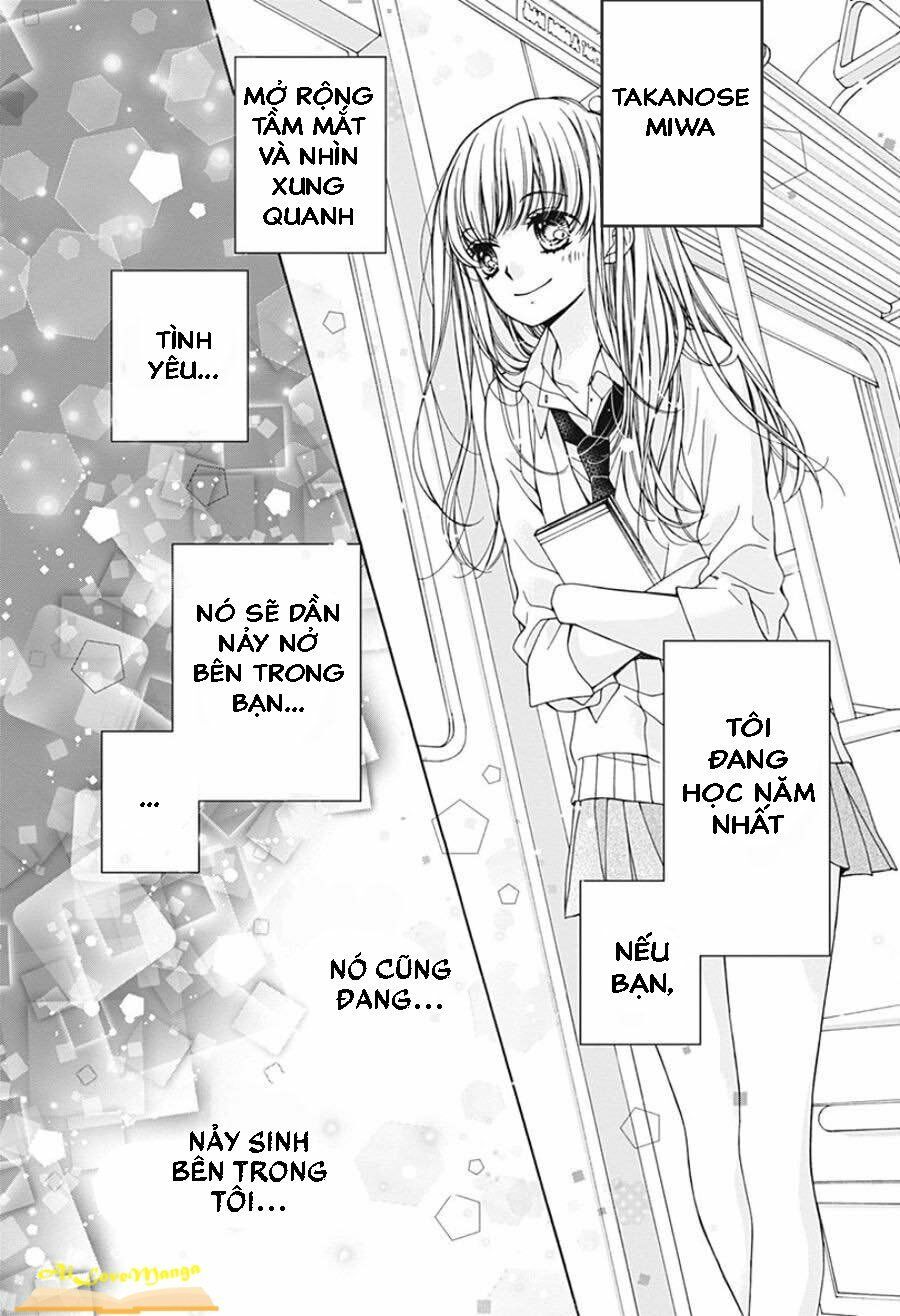 kirameki no lion boy chapter 1 6