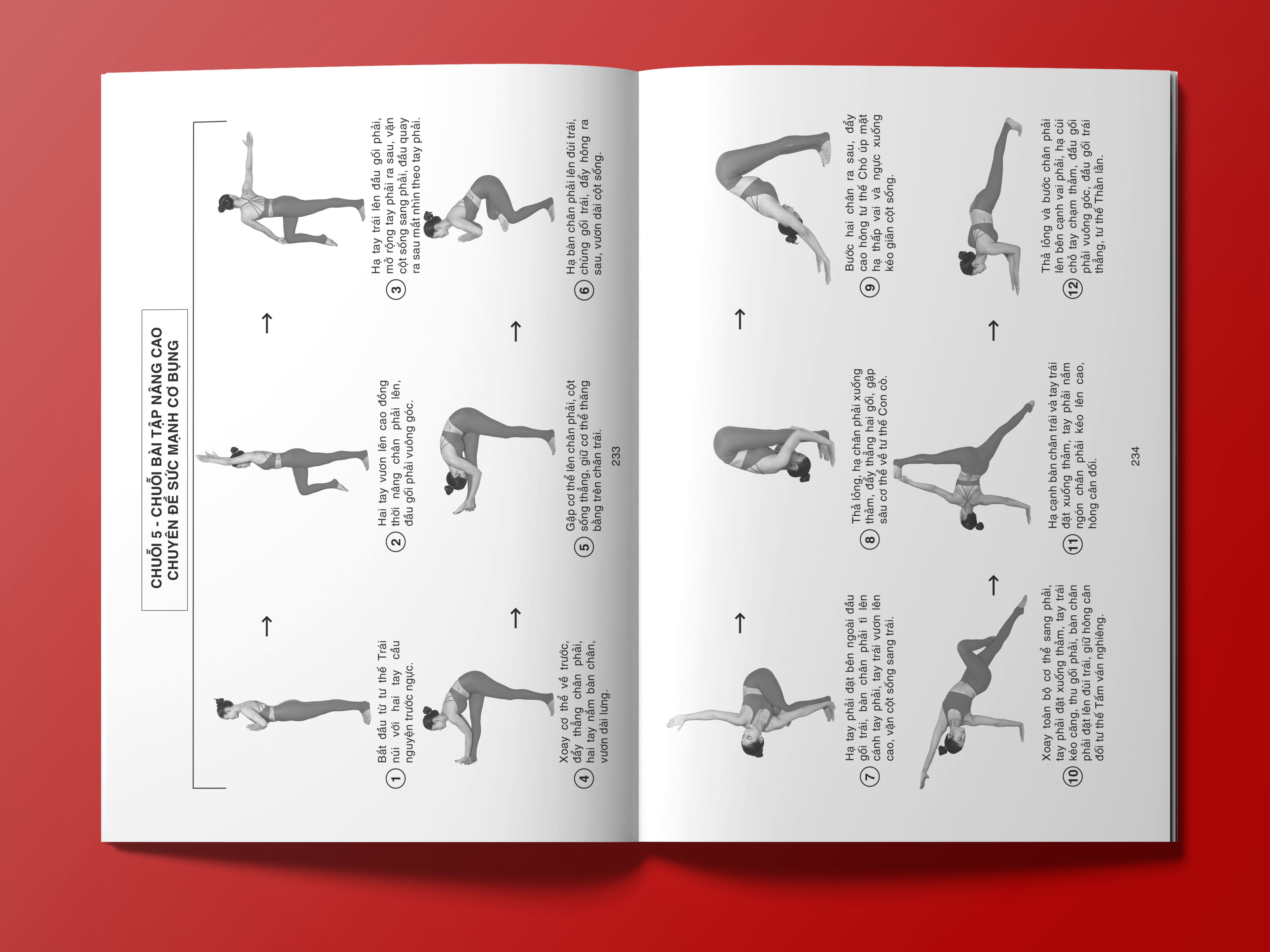 YOGA NÂNG CAO - Chạm tới giới hạn bản thân