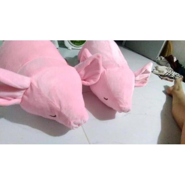 Heo hồng 70cm