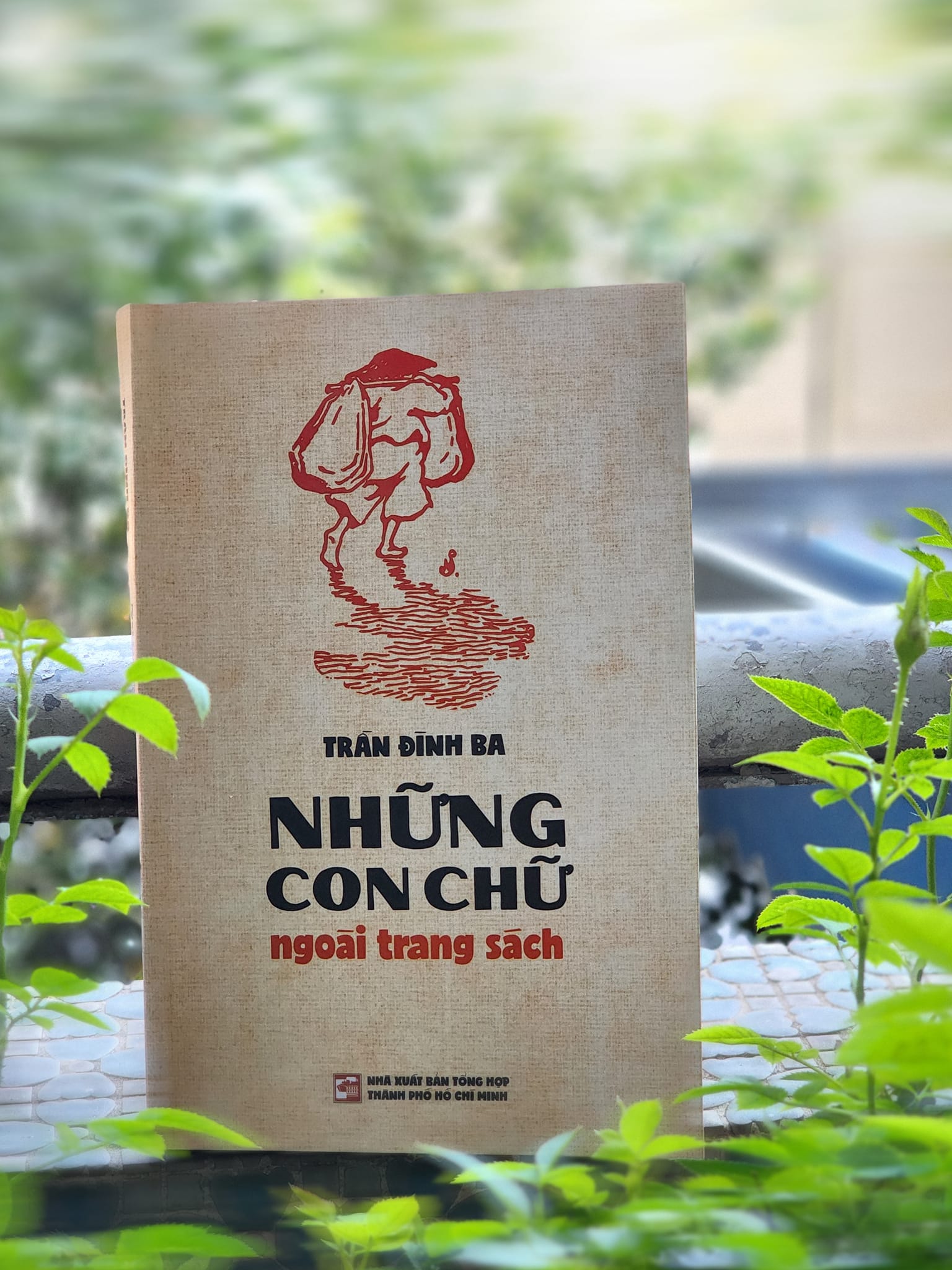 NHỮNG CON CHỮ NGOÀI TRANG SÁCH