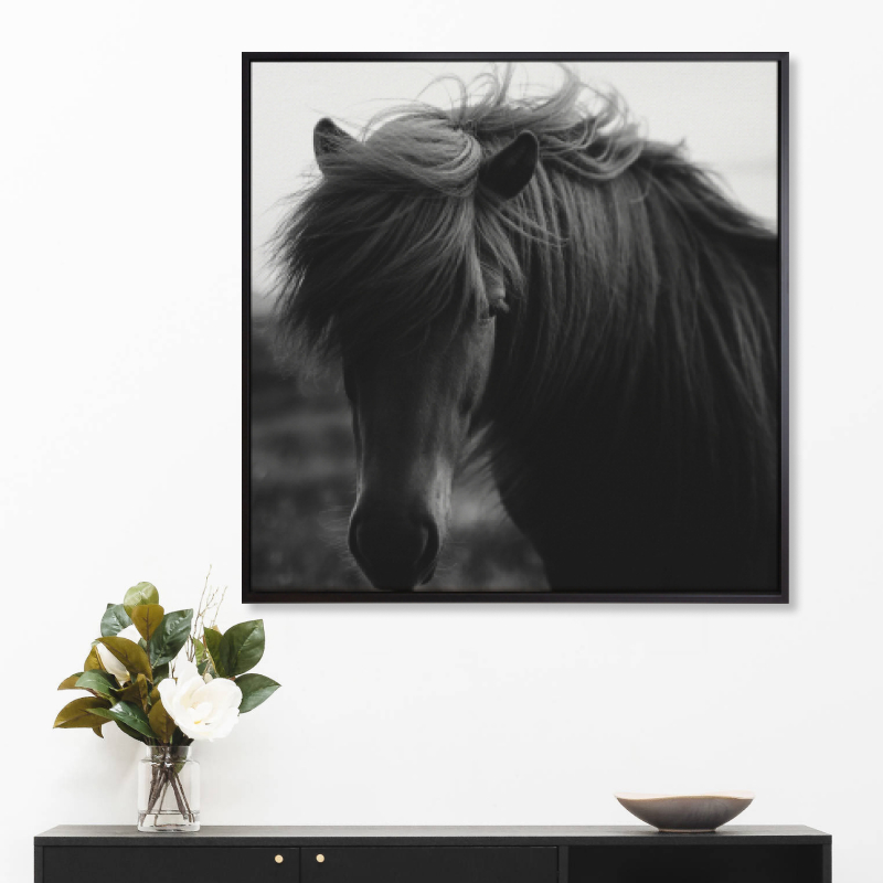 Tranh in canvas treo tường trang trí &quot;Black horse&quot;60x60cm