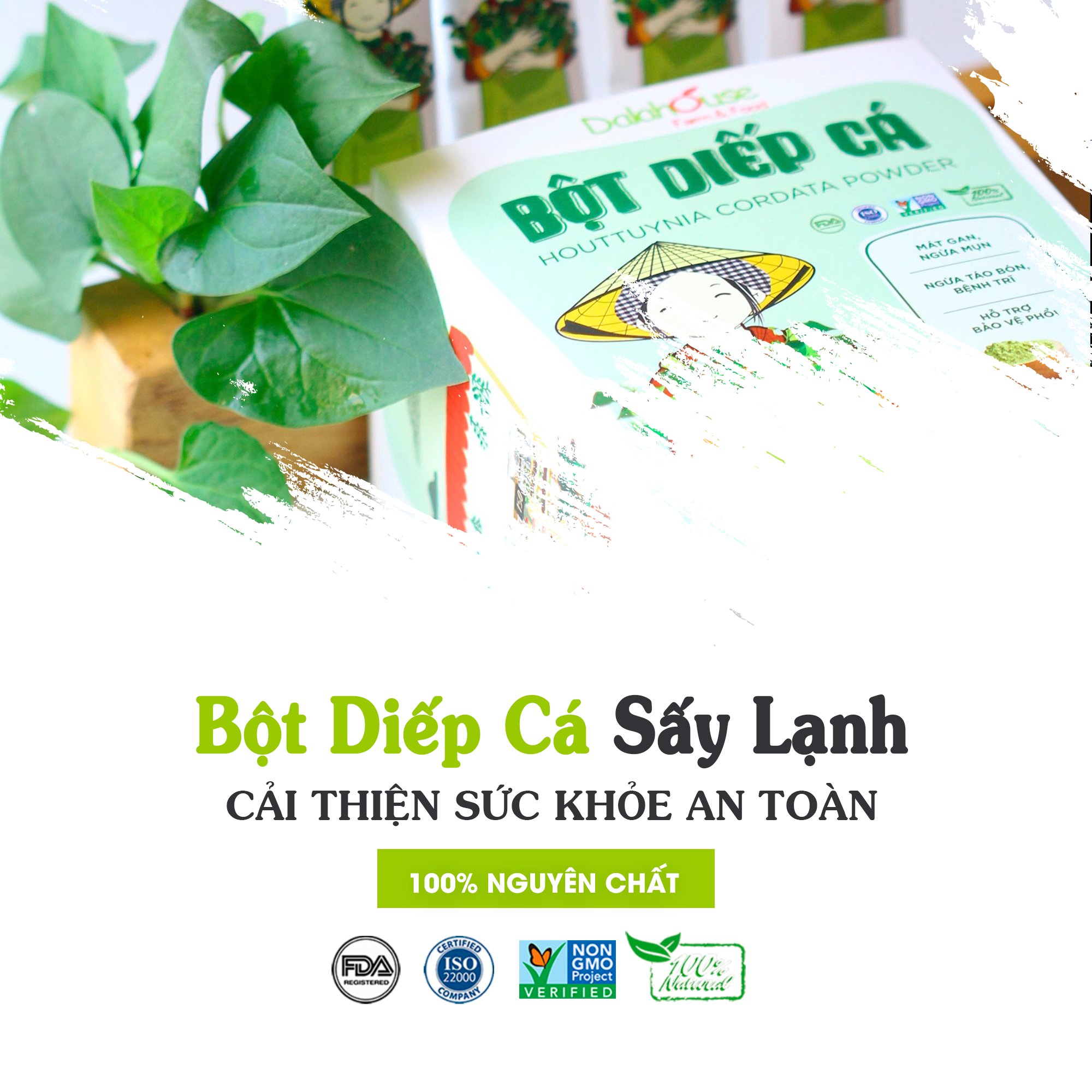 Bột Diếp Cá hữu cơ nguyên chất sấy lạnh Dalahouse - Hộp 20 gói nhỏ 3gr định lượng sẵn cho 1 lần sử dụng - Mát Gan, ngừa mụn, ngừa trĩ và táo bón. Hỗ trợ bảo vệ Phổi