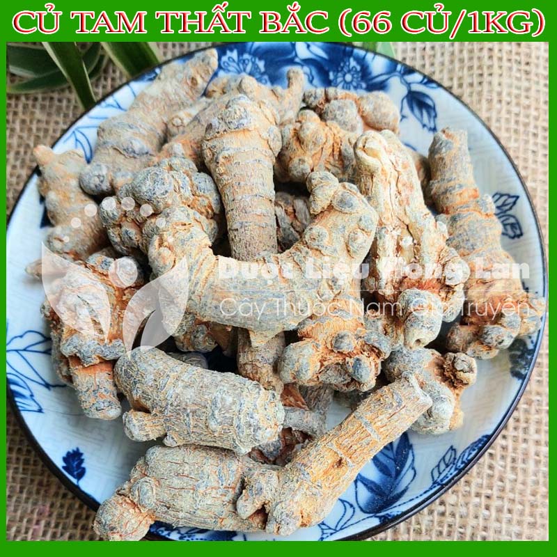 500g Củ Tam Thất Bắc loại 66 củ/1kg loại 1