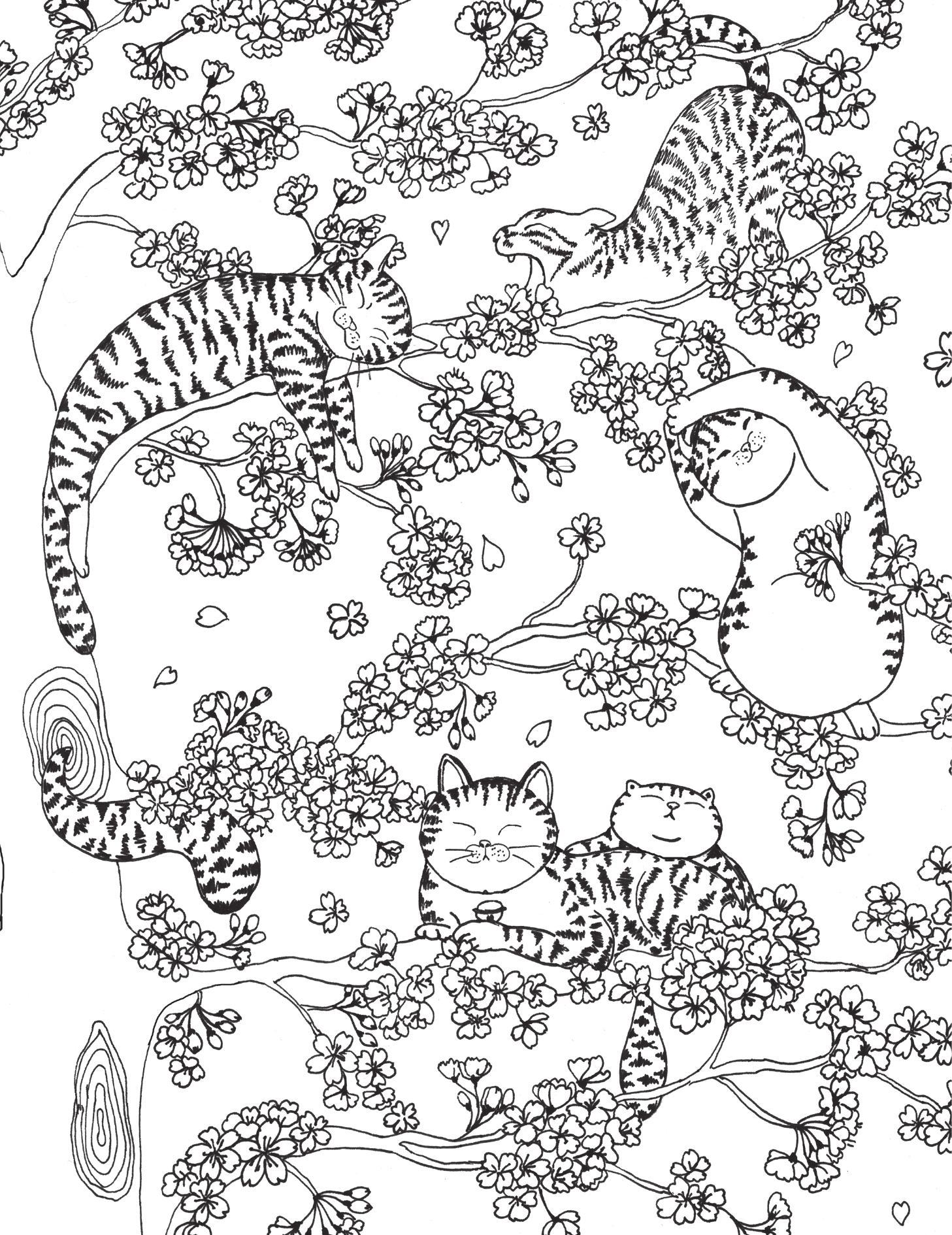 Sách - Meo Meo Phơi Nắng