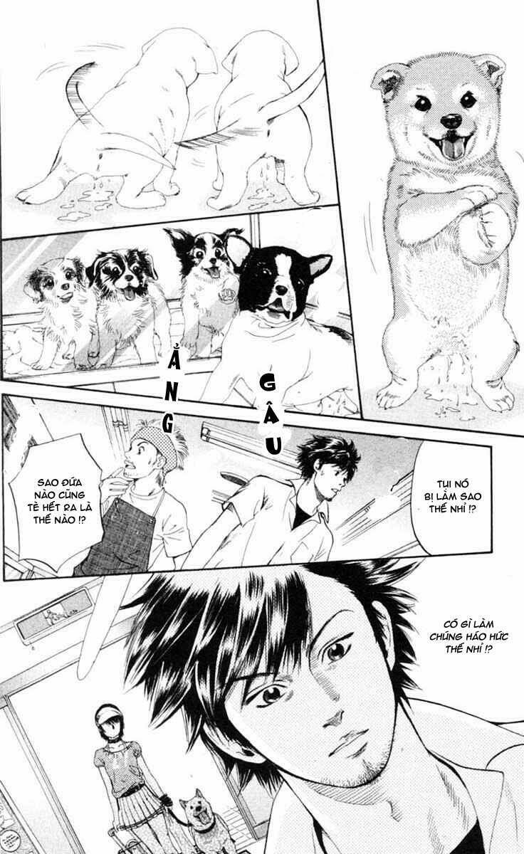 cô nàng yêu chó chapter 1.2 23