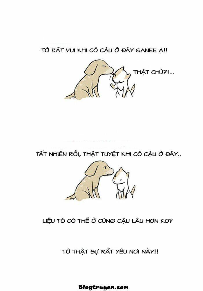 my kitty and old dog chapter 12 9