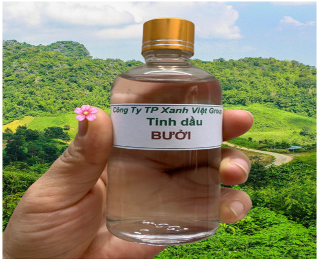 500ML TINH DẦU BƯỞI NGUYÊN CHẤT 100% . DƯỠNG TÓC, XÔNG PHÒNG TẠO HƯƠNG THƠM