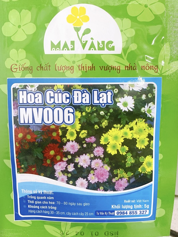 Hạt Giống Hoa Cúc Đà Lạt - Hoa Cúc Mix Màu 4 Mùa - gói 5Gr