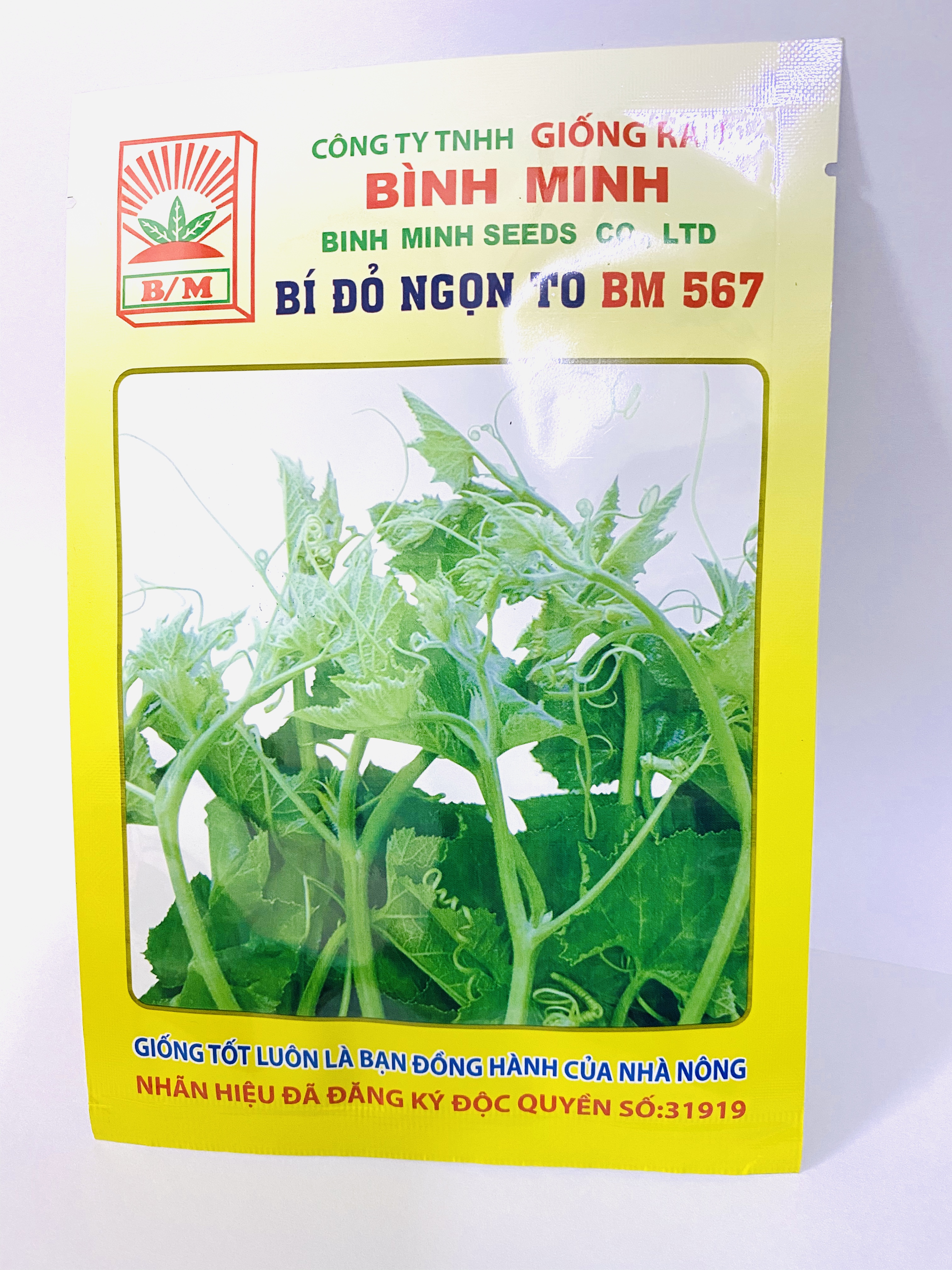 Hạt giống rau bí đỏ ngọn to BM 567