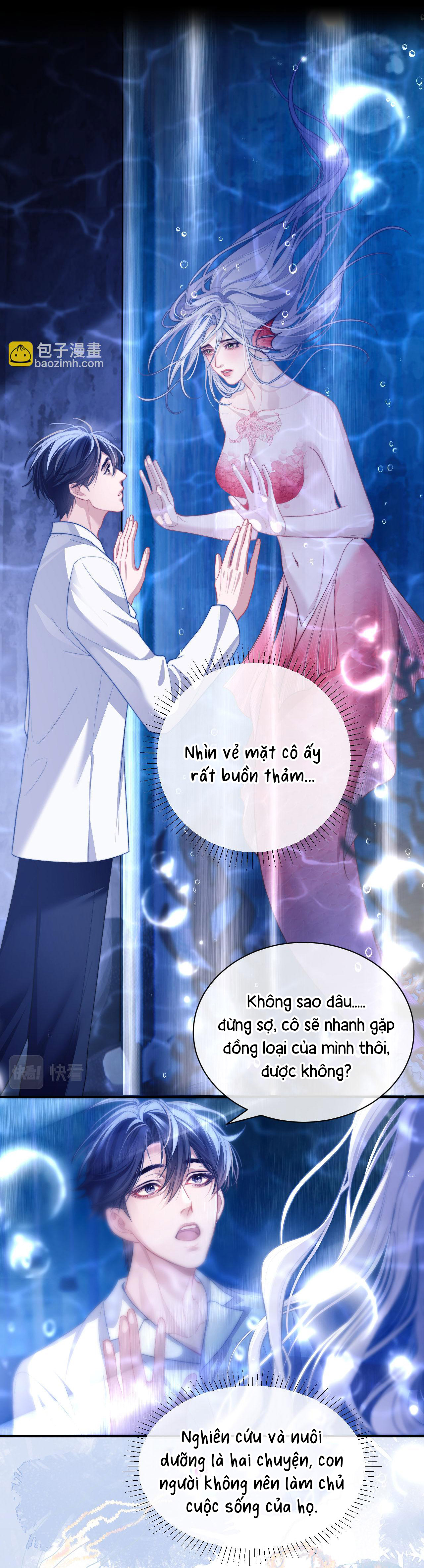 nhân ngư dessaro chapter 12 7