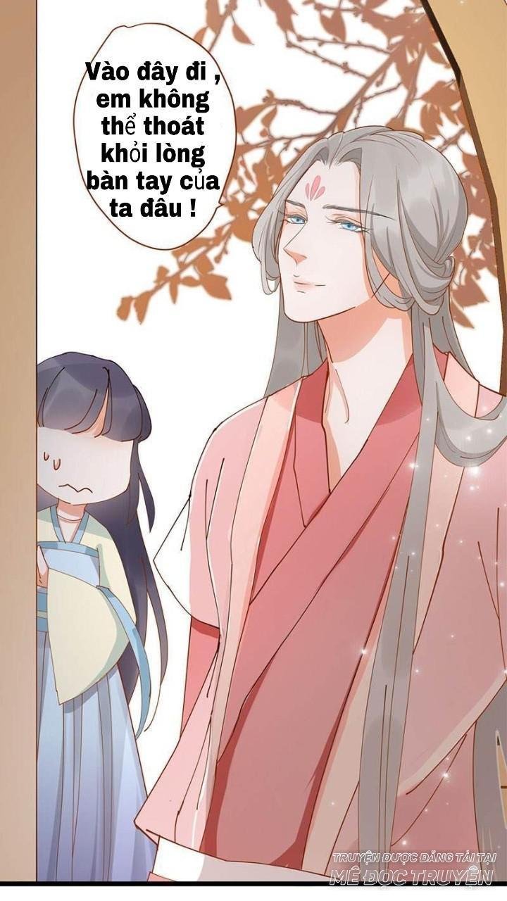 định mệnh giữa vị thần và tiểu cô nương chapter 6 6