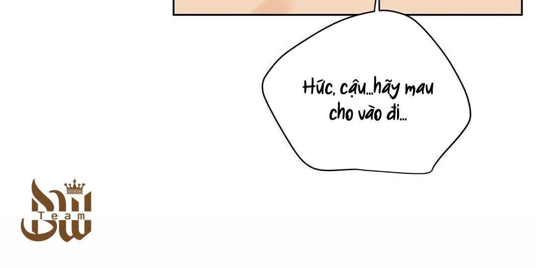 guide cấp b chapter 38 47