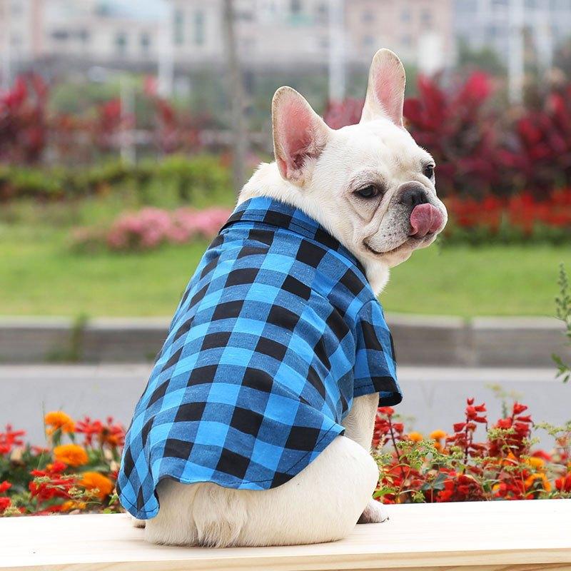 [Có Size 4XL] Áo sơ mi có nơ đi biển cho Chó Mèo , thời trang mùa hè dành cho cún cưng