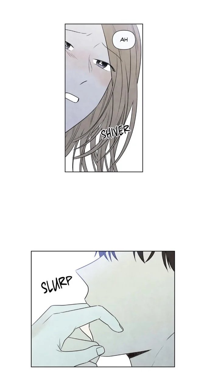 summer solstice point chapter 43 4