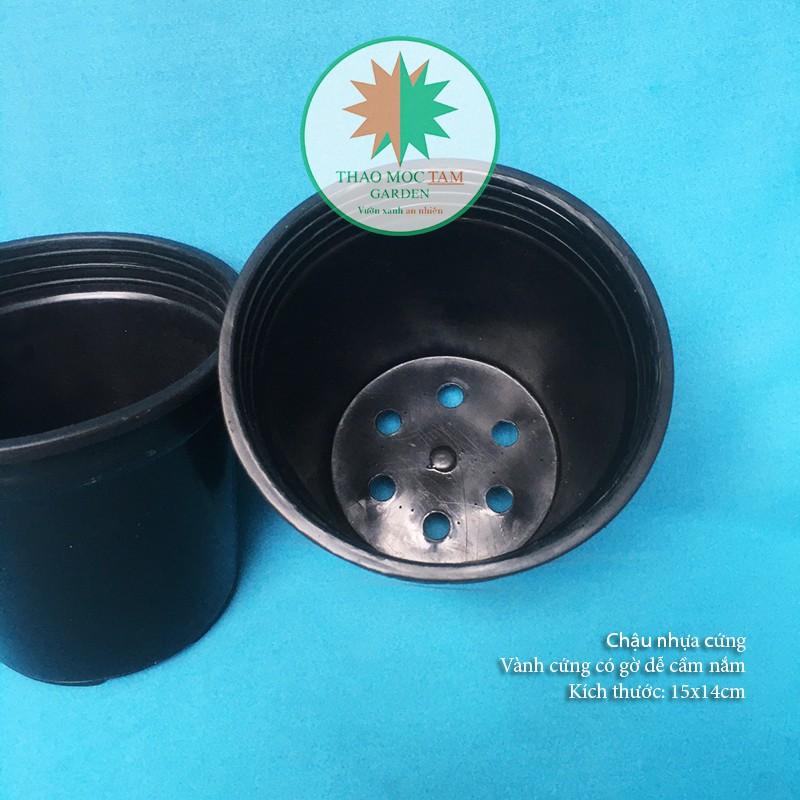 05c Chậu nhựa cứng 15x14cm – Chậu nhựa tròn, dày thích hợp trồng cây hoa, cây kiểng nhỏ, ươm trồng cây.