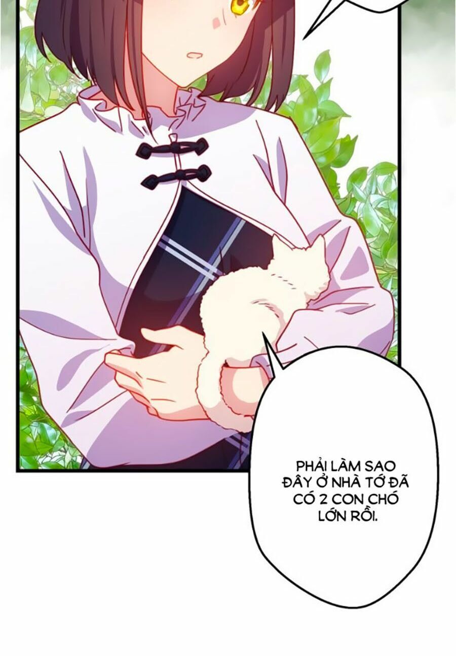 bài ca tình yêu chapter 10 13