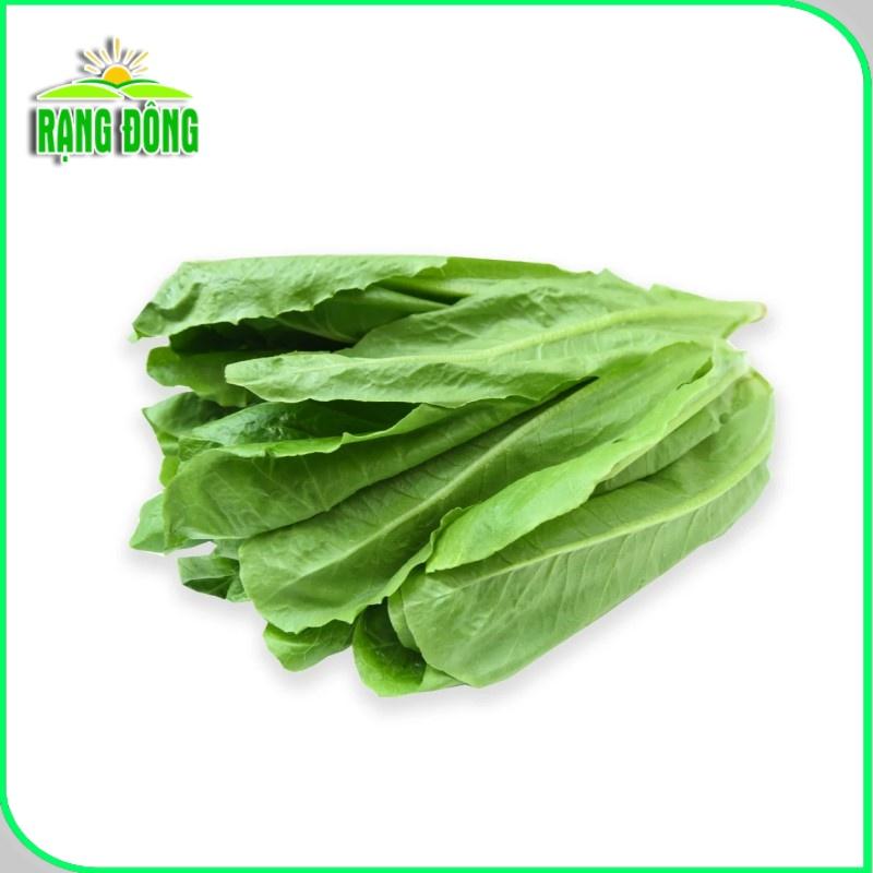 Hạt giống Xà Lách Romaine (2g~1000 hạt) chịu nhiệt tốt, giàu dinh dưỡng, trồng quanh năm - Hạt giống Rạng Đông