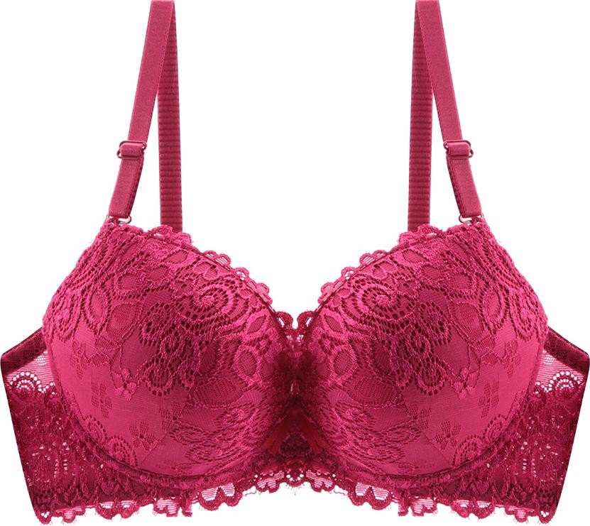 Áo Lót Ren Nữ 12H C322 Mút Dày