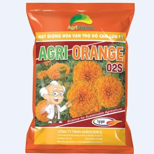 Hạt giống hoa Vạn Thọ đỏ cam Lùn F1 - AGRI ORANGE 02S