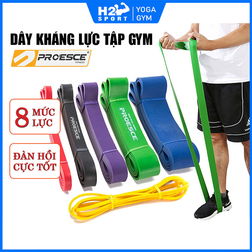 DÂY KHÁNG LỰC TẬP GYM POWERBAND CHÍNH HÃNG PROESCE HỖ TRỢ TẬP GYM, LÊN XÀ