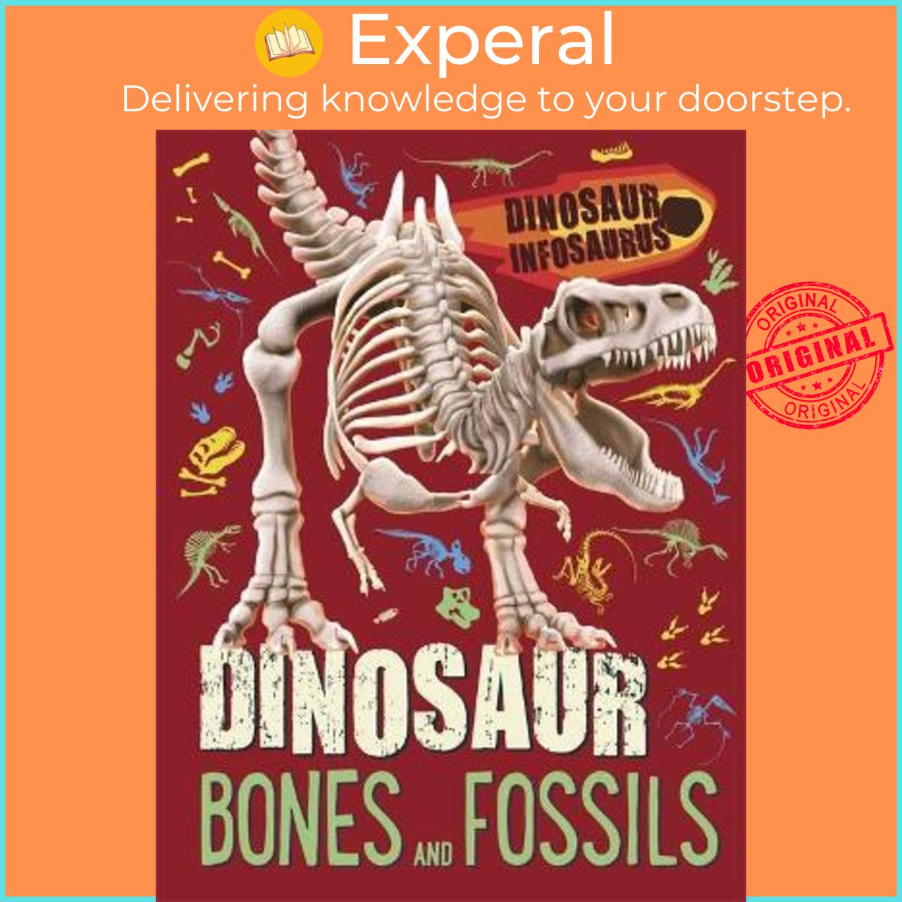 Sách - Dinosaur Infosaurus: Dinosaur Bones and Fossils by Katie Woolley (UK edition, paperback)