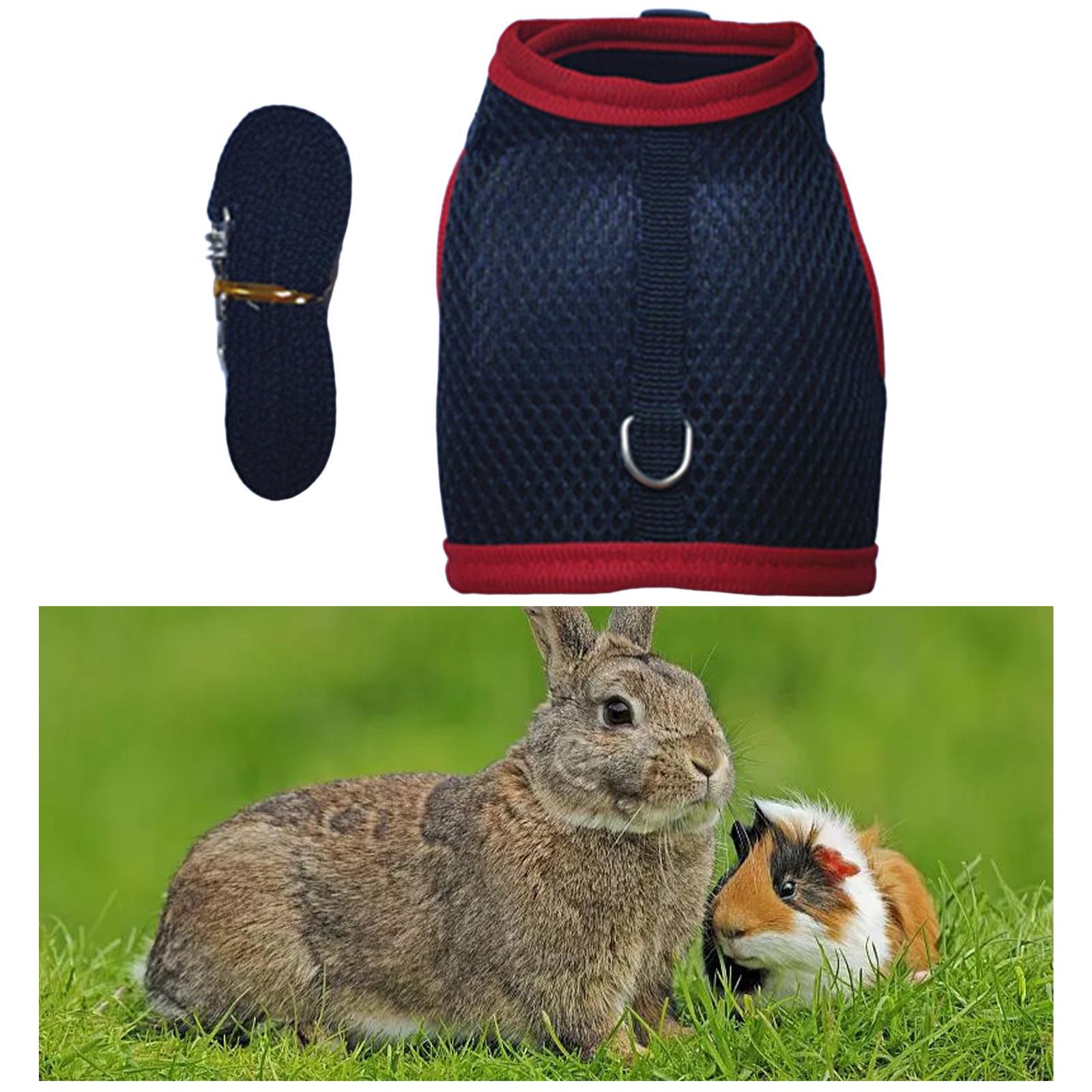 Rabbit Harness and Leash Set Mesh Vest Harness for Bunny Kitten Guinea