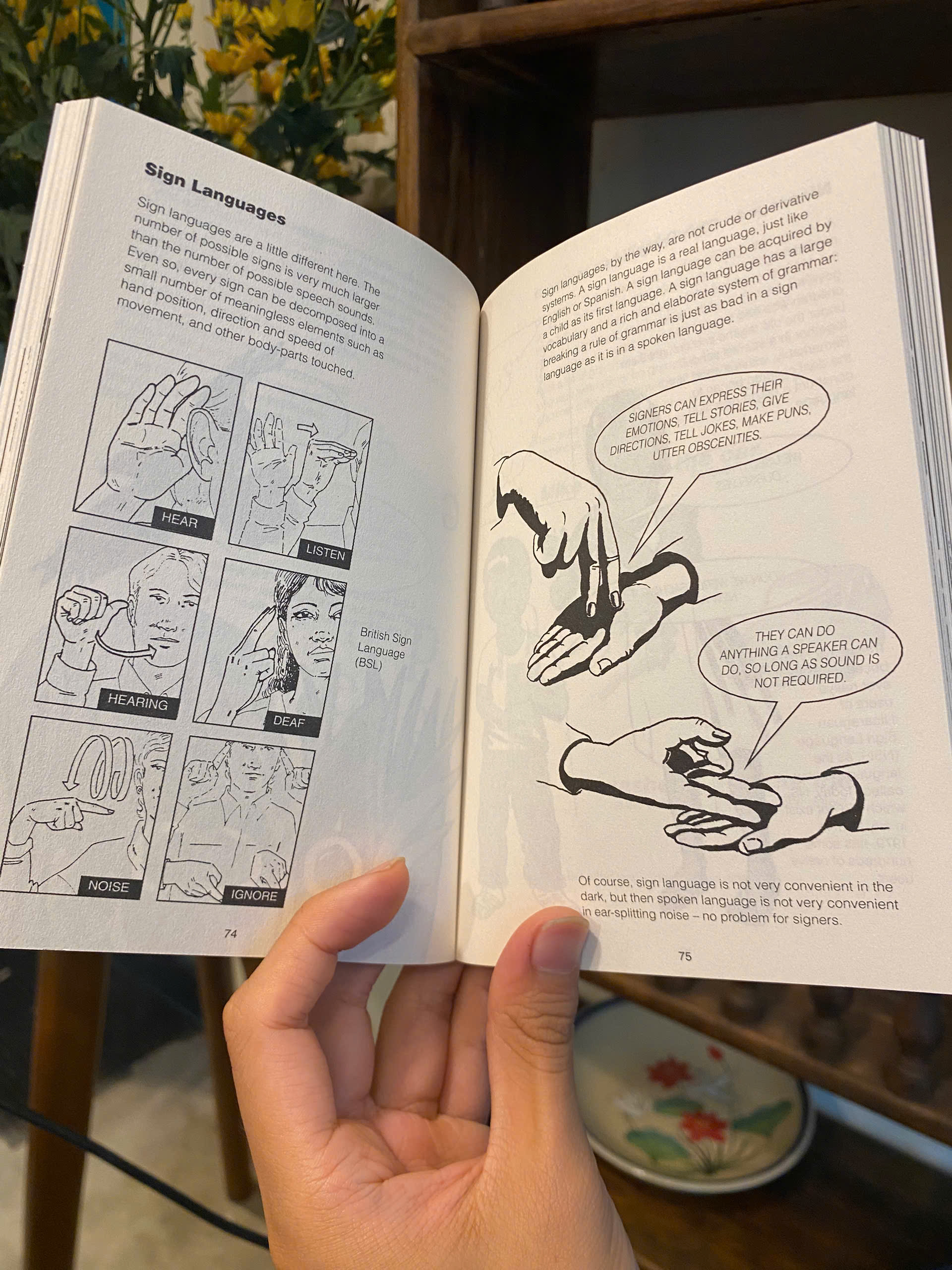 Sách - Introducing Linguistics: A Graphic Guide by R.L. Trask | Nonfiction / Ngoại văn Nhập khẩu