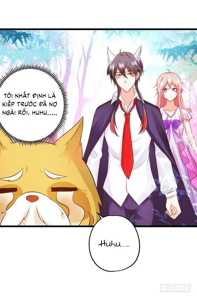 hồ tiên hung bạo chapter 92 31