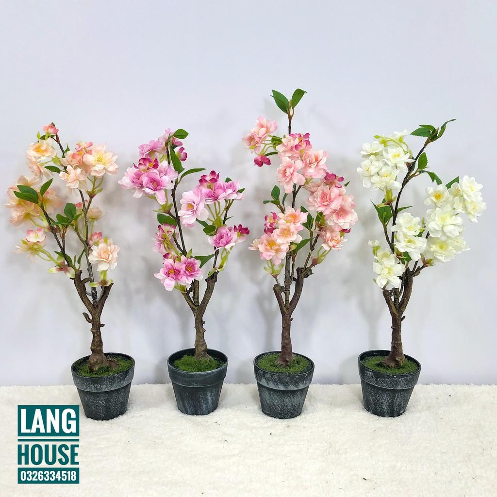 Hoa Giả Hoa Lụa - CHẬU HOA ĐÀO GIẢ CAO 40CM