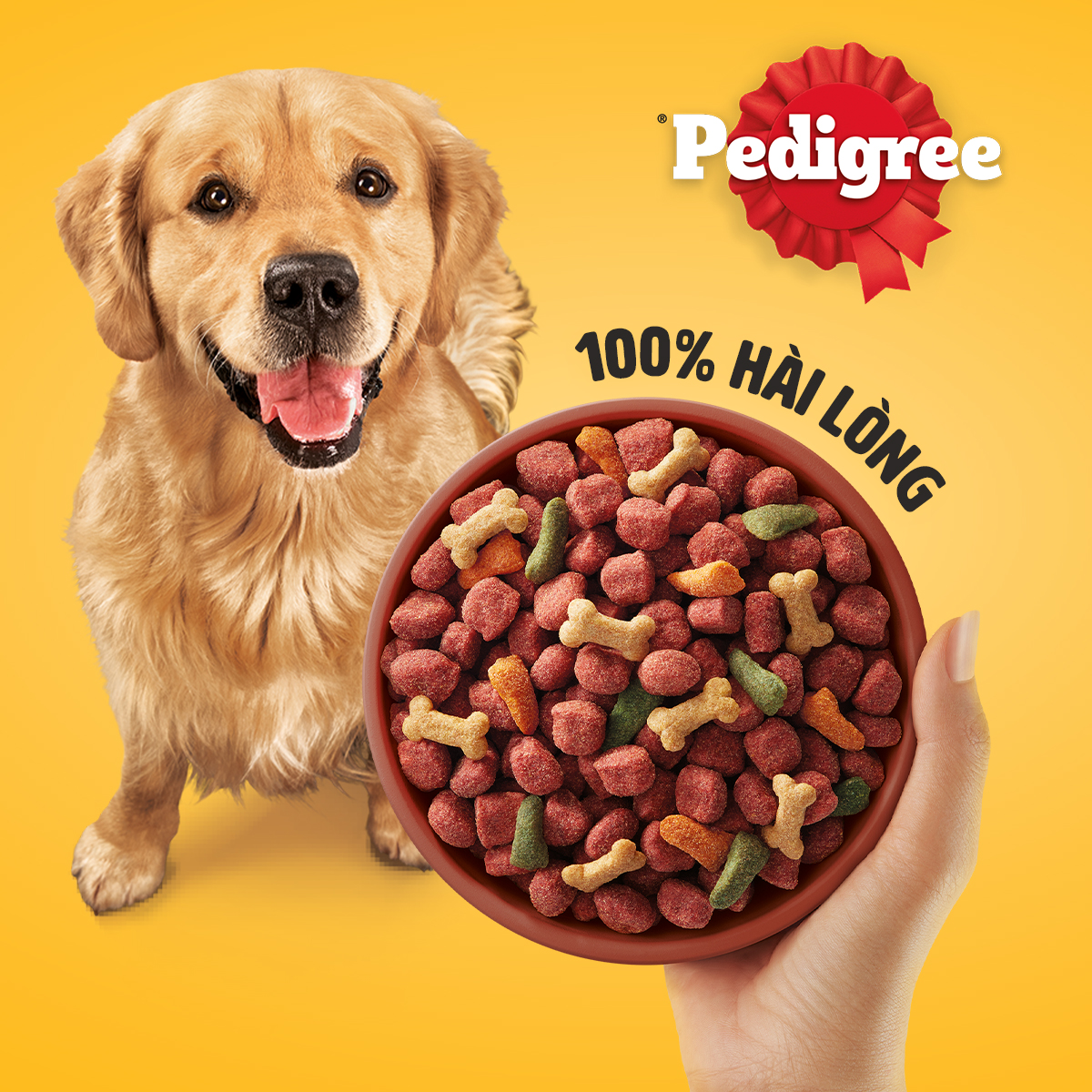 PEDIGREE Thức ăn cho chó lớn dạng hạt vị bò và rau củ 10kg (1 túi)