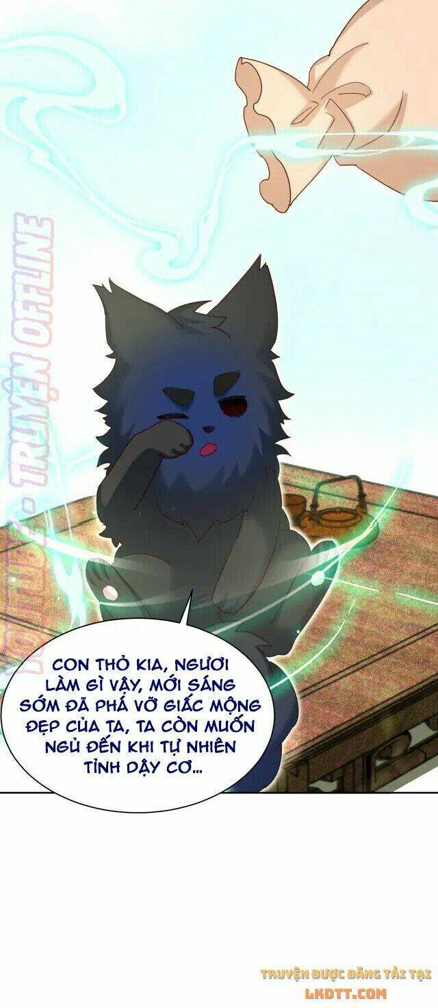 hắc hóa nam chính trực tuyến nuôi thỏ chapter 44 10