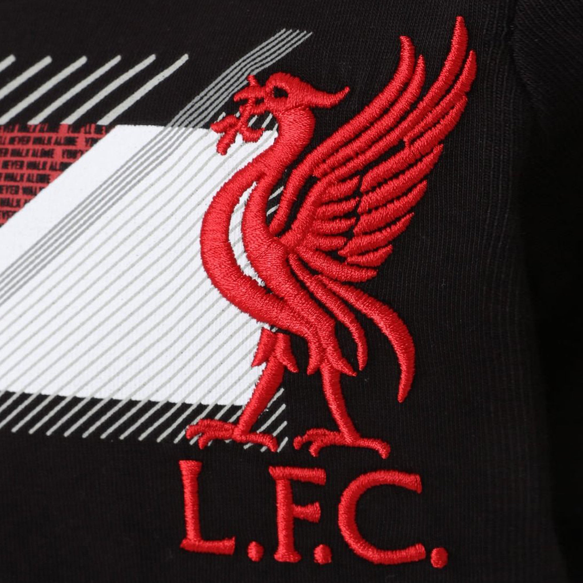 Áo thun tay ngắn thể thao trẻ em LFC Raised Embroidery Print - Livepool FC - A15644