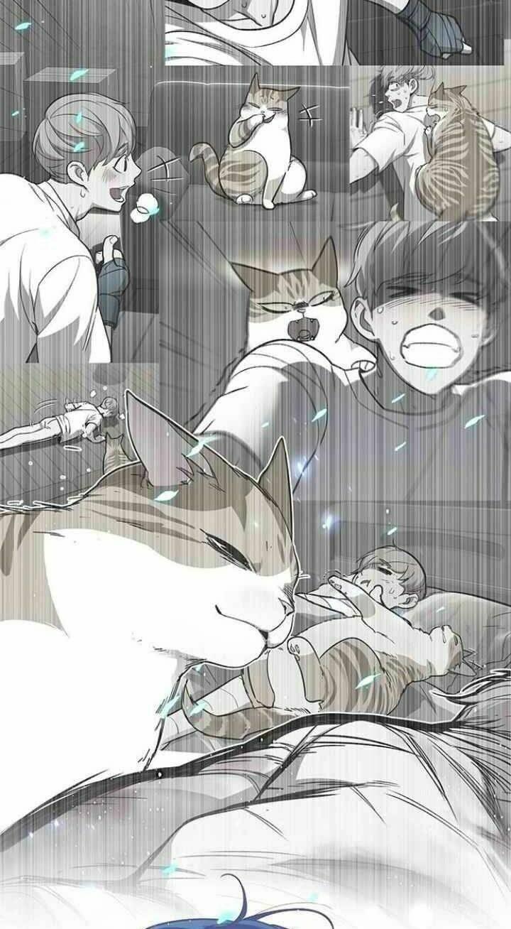 biến thân thành mèo chapter 93 37