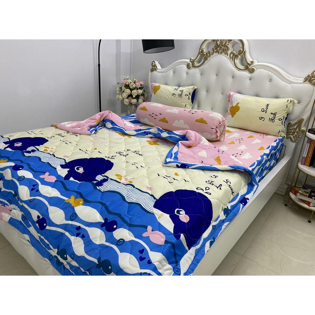 Bộ drap KÈM MỀN thun lạnh Hàn Quốc 5 món
