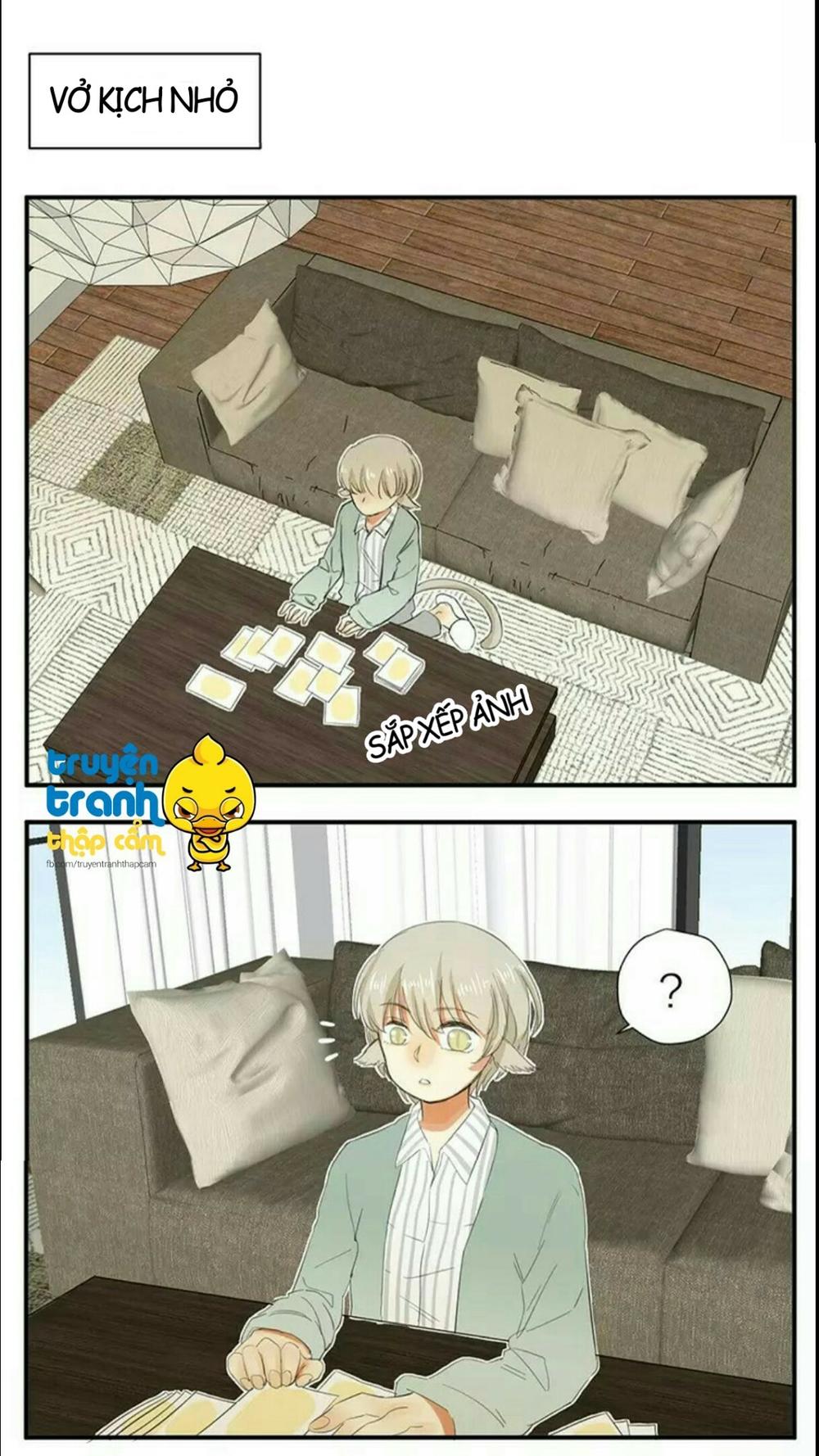 cứu mạng ! loài mèo thống trị thế giới rồi ! chapter 38 17